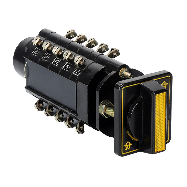 Interruptor de leva giratorio LW2-10